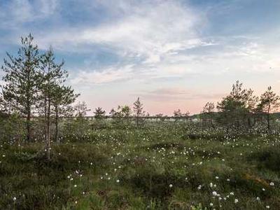 为什么曲靖企业网站制作的价格差异如此之大?